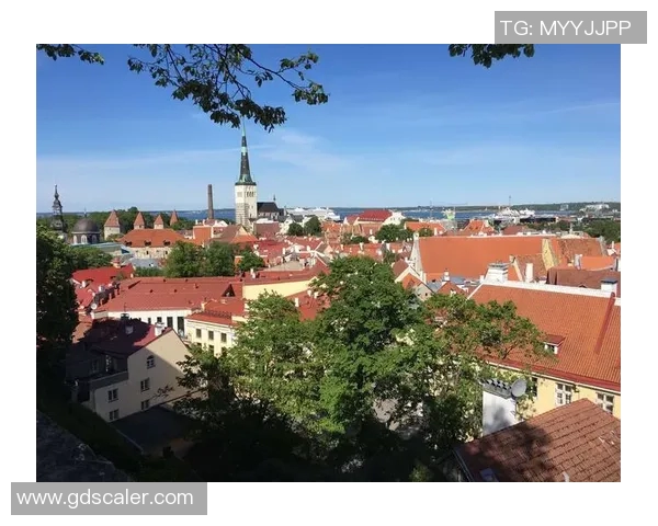 爱沙尼亚与威尔士激战正酣谁能在这场较量中笑到最后